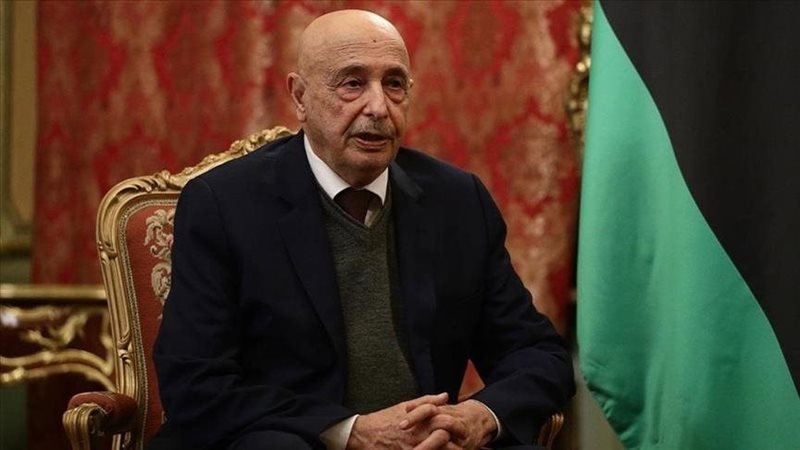عقيلة صالح، فيتو