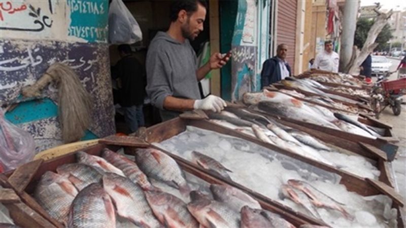 أسعار الأسماك اليوم