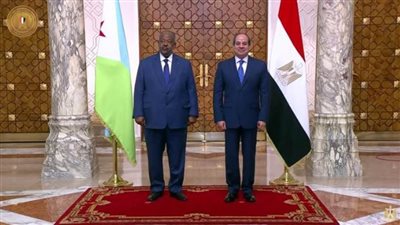 في أرقام.. تطور العلاقات الاقتصادية بين مصر وجيبوتي