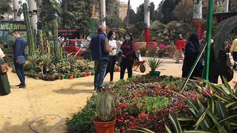 معارض التمور والزهور