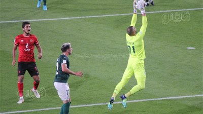 محمد عبد الجليل: أيمن اشرف متهور.. والشحات خارج نطاق الخدمة 