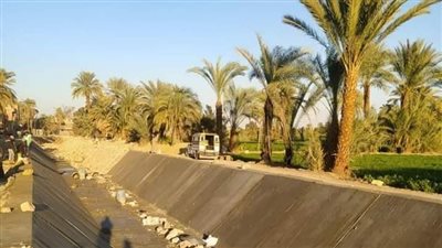 تطهير الترع والمصارف في دشنا، والحملة ترفع 140 طن مخلفات