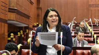 برلمانية تطالب بعدم تطبيق قانون الإيجارات القديم على الأحزاب والنقابات