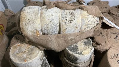 ضبط 532 كيلو جبن رومي فاسدة داخل محل في الإسكندرية 