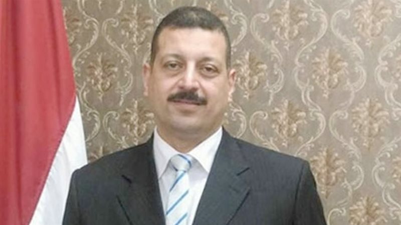 أيمن حمزة متحدث وزارة