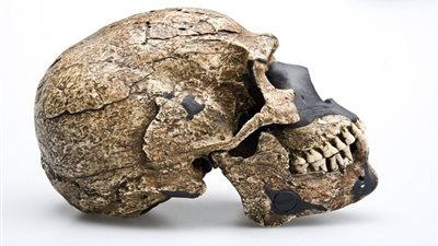 العثور على اكتشاف جديد يغير تاريخ الإنسان في أوروبا