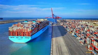 لو عندك شحنات حاصلات زراعية للتصدير للكويت.. تعرف على الشروط