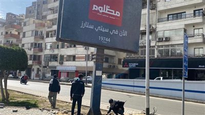  ازالة ٢إعلان وضبط ١٨توك توك وشيش في حملة بجنوب الجيزة| صور