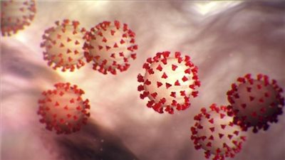 ينتقل من القوارض إلى الإنسان.. فيروس جديد قد يتحول إلى وباء