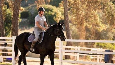 تفسير حلم ركوب الحصان في المنام وعلاقته بتحقيق الأمنيات والزواج في القريب 