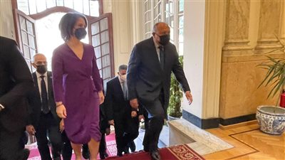 بدء جلسة مباحثات وزير الخارجية ونظريته الألمانية بالقاهرة