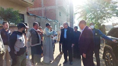 إصلاح أعمدة الإنارة وزيادة خطوط التليفونات بعزبة الصبان في الشرقية 