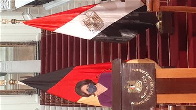 وزير الخارجية يؤكد لنظيرته الألمانية ثقة الشعب المصري في حكومته