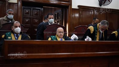 دفاع علاء حسانين يطالب باستدعاء ضابط كمين شرطة تلا في قضية الآثار الكبرى 