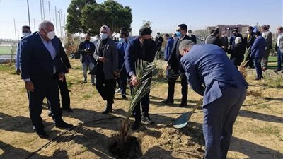  وزير الشباب يشارك في مبادرة زراعة 2.5 مليون نخلة بالوادي الجديد | صور