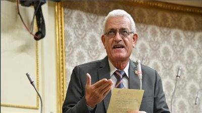 عاطف مغاوري يكشف شكل البرلمان القادم 