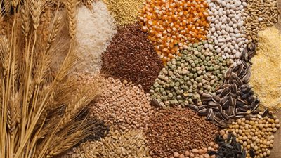 أسعار البقوليات والحبوب في الأسواق 