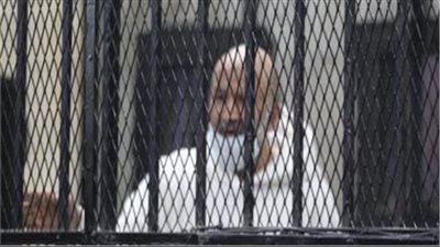 دفاع علاء حسانين يدفع ببطلان القبض والتفتيش