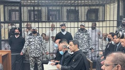 أحد الشهود في قضية الآثار: أنا عضو مع علاء حسانين في الحملة الانتخابية 