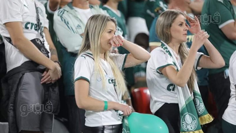 جمهور بالميراس البرازيلي