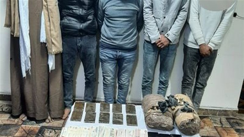 مخدر البانجو والمتهمين