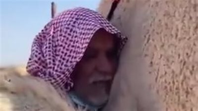 ناقة تحتضن صاحبها في مشهد مؤثر|فيديو