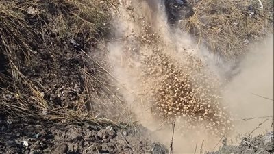 تغطية مساقي المياه بمراكز ومدن الإسماعيلية | صور