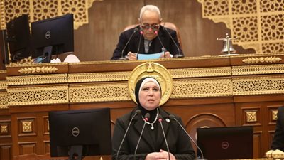 وزيرة التجارة تعلن حل أزمة تخصيص الأراضي الصناعية للمستثمرين