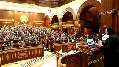 مطالبات في مجلس الشيوخ بتطبيق حاسم لقانون تفضيل المنتج المحلي