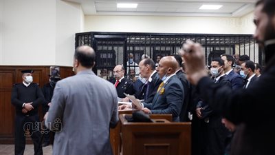 قضية الآثار الكبرى.. دفاع المتهم الثاني يطالب بضم أحراز قسم مصر القديمة