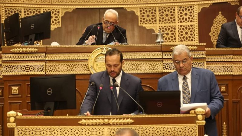 النائب محمد حلاوة