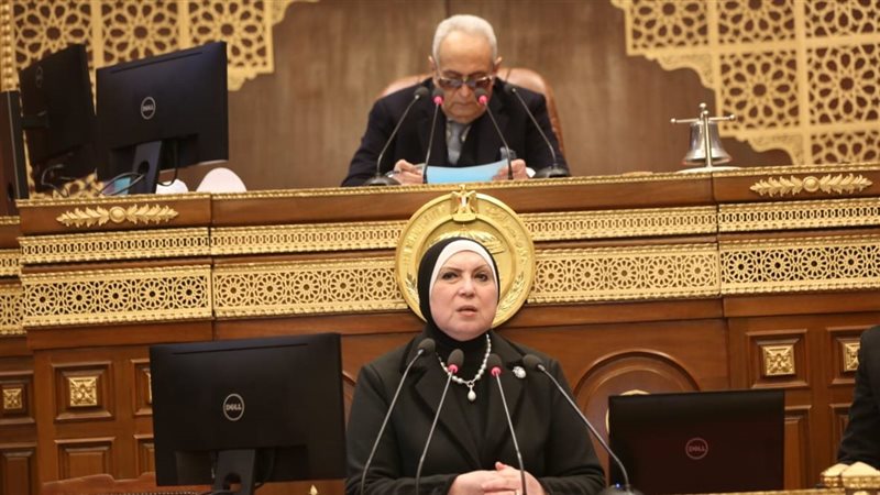 وزيرة الصناعة أمام