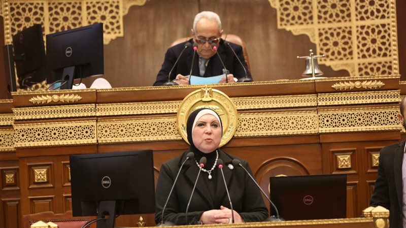 وزيرة الصناعة أمام