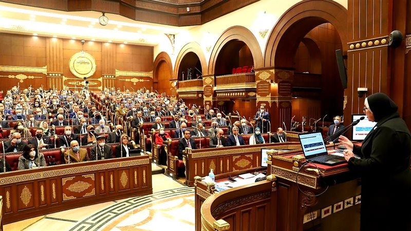 وزيرة التجارة والصناعة