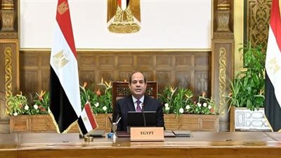 السيسي يؤكد على استراتيجية علاقات التعاون والشراكة المتميزة بين مصر وكافة الشركات البريطانية