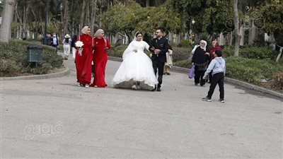 المعازيم لابسين أحمر والفرح مش في قاعة.. حفل زفاف مختلف في عيد الحب بحديقة الأزهر | فيديو 