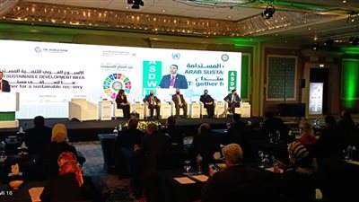 وزير الري: نصيب الفرد في مصر من المساحات الخضراء أقل من ٤٠ مترا مربعا