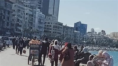 ورد أحمر وبلالين.. كورنيش الإسكندرية يستقبل الكابلز في عيد الحب | فيديو وصور 