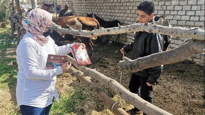 بيطري الإسماعيلية ينظم حملة لتوعية المربيين ضد أمراض الماشية| صور