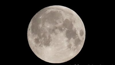 القمر الوردى يزين سماء ليلة النصف من رمضان 