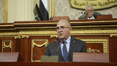 وزير الري للنواب: وجدنا انتريه وحيوانات نافقة في الترع