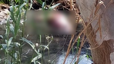 إعدام 16 حمارًا مسلوخًا على مصرف شوبر بطنطا|صور