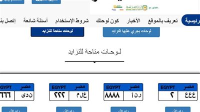 لوحتك باسمك.. جنى ومنى أغلى سعر للوحات السيارات المعدنية المميزة
