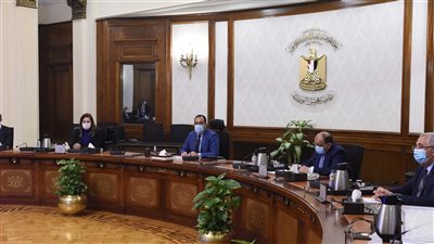 الحكومة تبدأ تفعيل قرار مجلس الوزراء بإلغاء الدعم للمتعدين على الأرض الزراعية