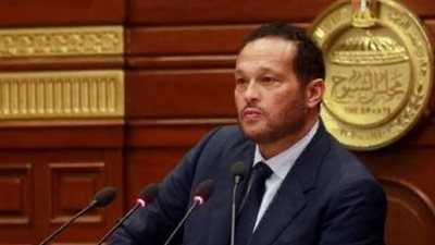 النائب محمد حلاوة: نساند الإجراءات المالية للبنك المركزي لضبط عشوائية الاستيراد