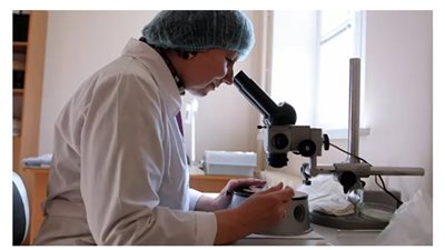 السر في دماء الحبل السري.. تفاصيل شفاء أول امرأة من الإيدز