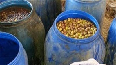 ضبط ورشة لتصنيع المخللات مجهولة المصدر في الإسكندرية 