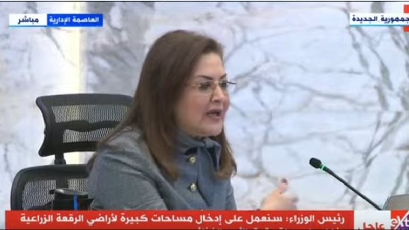 وزيرة التخطيط 