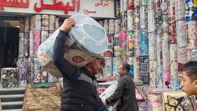 التحفظ على 25 تكتوك وتروسيكل بدون ترخيص في حملة بحي جنوب الجيزة |صور