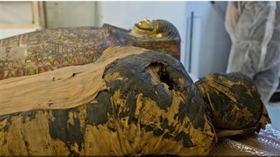 أخبار مصر: بيان سار عن كورونا.. موقف مرتضى منصور من البدري.. مفاجأة عن المومياء الحامل.. تفاصيل مقتل مصري بالكويت